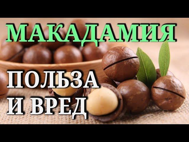 МАКАДАМИЯ. Состав, свойства, польза и вред