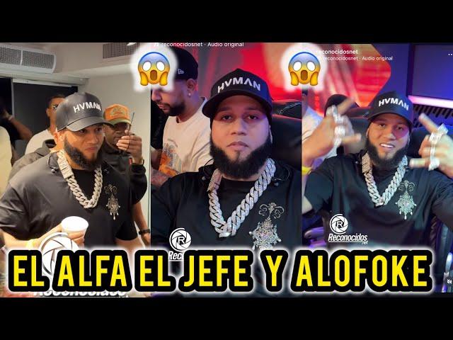 EL ALFA EL JEFE LLEGA ALOFOKE EL ILUMINADO EL ALFA GÁRGARA SECCIÓN 8  EL ALFA Y ALOFOKE 