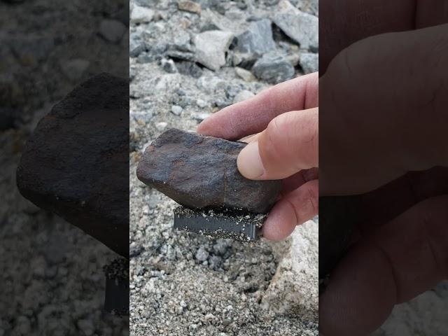 Other great find at my honey hole #meteorite #astronomy #magnetic #viral #uniquefind #science