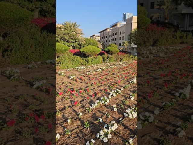 Dubai ️ #travel #dubailifestyle #dubailiving #dubaitourism #dubaiflowergarden