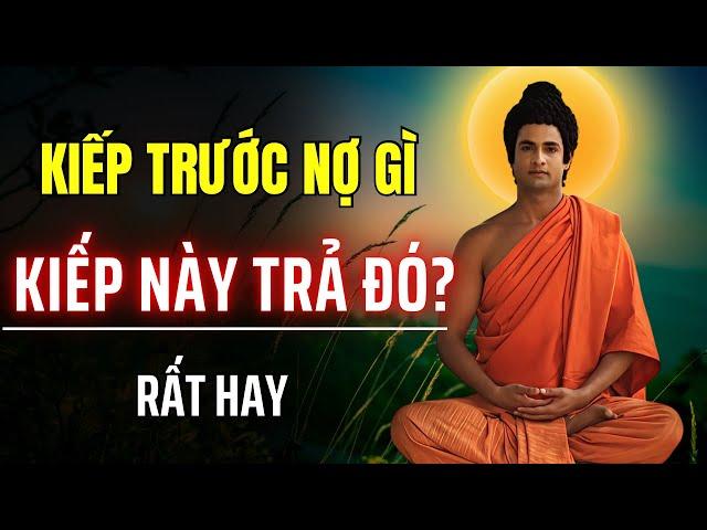 Kiếp Trước Nợ Gì, Kiếp Này Trả Đó | Trở Về Chánh Niệm