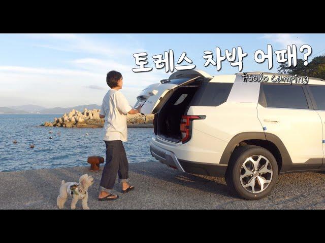 Car camping with a dog. Yeosu night sea.