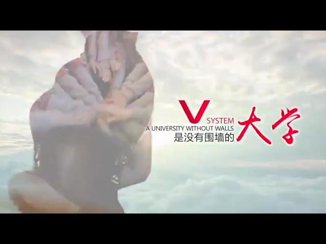 [#Viiva惟哇] 短片 Viiva V系統是成功唯一的保證