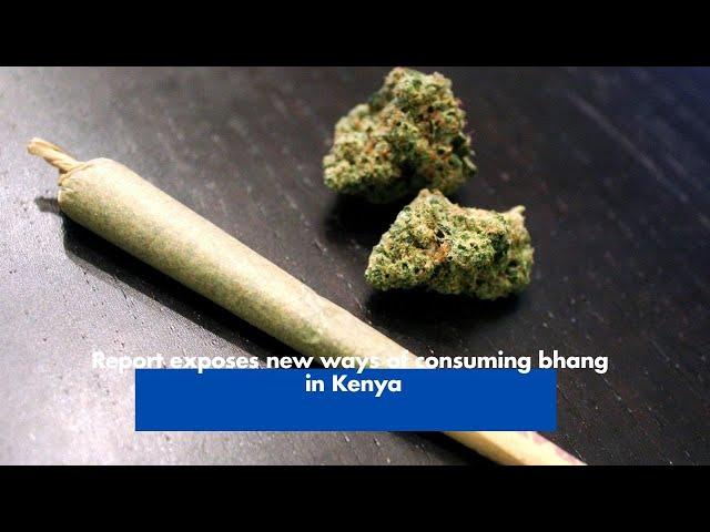 Report exposes new ways of consuming bhang in Kenya