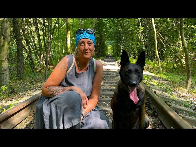 Ukraine, Tunnel of love, Belgian Malinois Linda.