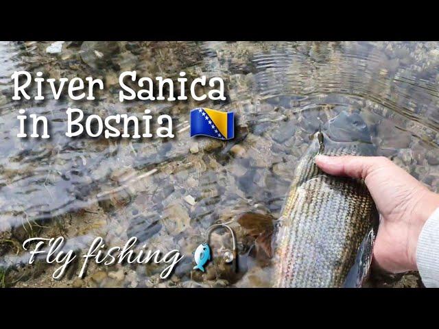 Fly Fishing in Bosnia | River Sanica | Dry fly and euro-nymphing