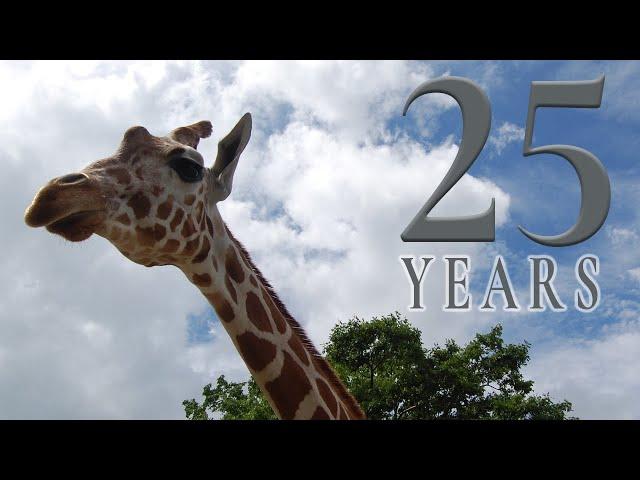 Metro Richmond Zoo - Celebrating 25 Years!