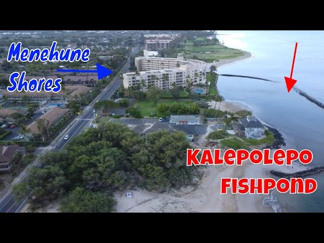 Kalepolepo Beach Park - Kihei Maui's Best Kept Secrets