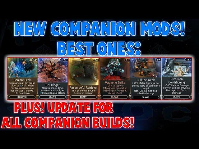 UPDATED COMPANION BUILDS! Damage builds for beasts + best new mods. And more!