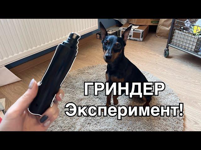 Гриндер - стоит ли покупать? Лучше чем когтерез? Чем заменить гриндер/как быстро постричь когти