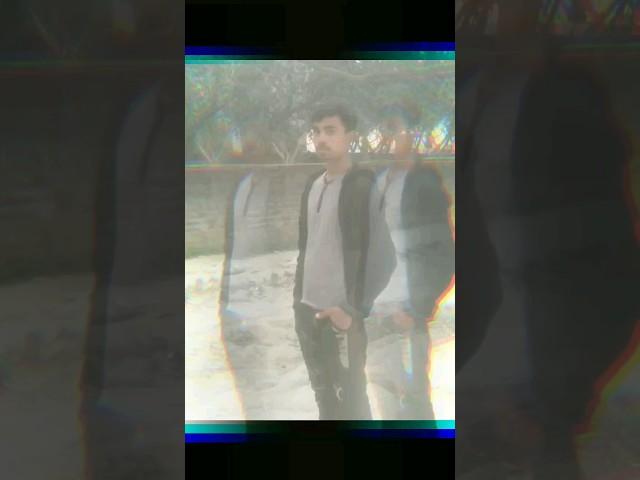 Basha Sharif