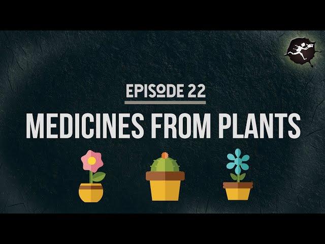 Ethnobotany - Medicinal Uses of Plants: UntamedScience #22