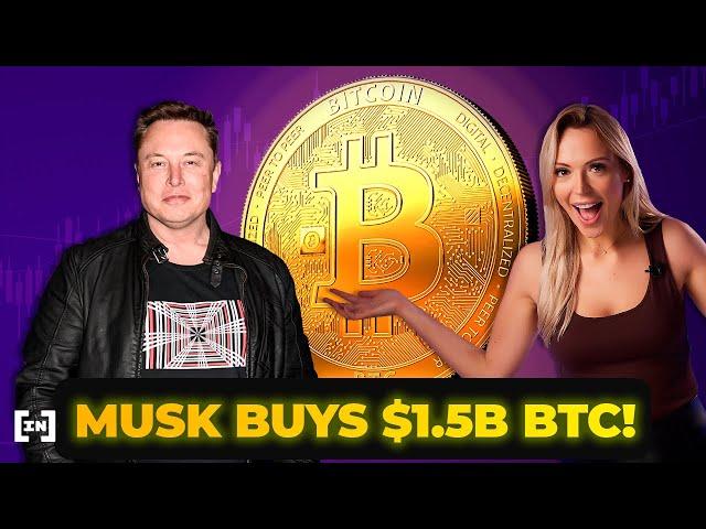 Elon Musk's Bitcoin Pump: Investing or Gambling? | BeInCrypto News