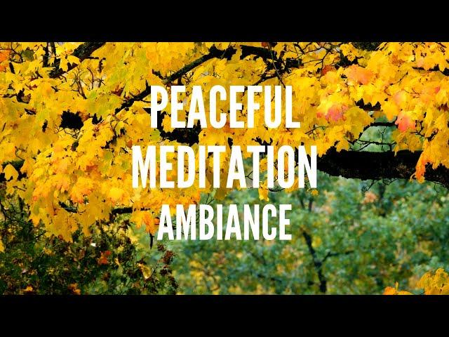 Peaceful Meditation w/ Subtle Music & Ambiance [Study, Meditation, & Relaxation]