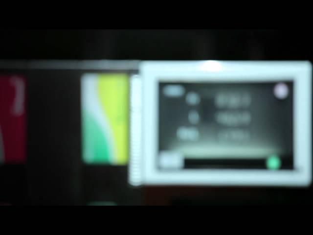 Greenpeace-Eisbär