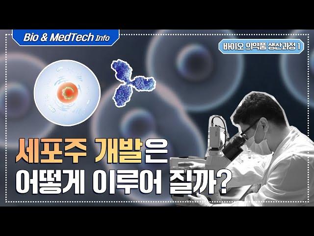 [셀트리온 C-FILES] 바이오시밀러 생산 과정 첫 단계! 세포주 개발은 어떻게 이루어질까?