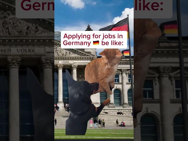 Germany  job hunt reality check