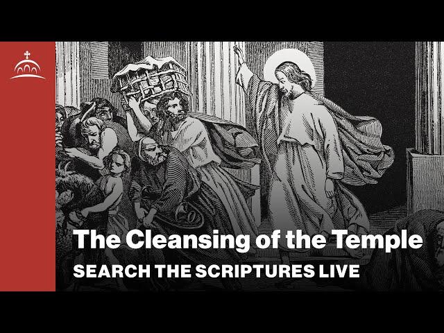 Search the Scriptures Live - The Cleansing of the Temple (w/ Dr. Jeannie Constantinou)