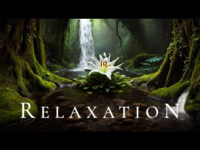 RELAXATION | Peaceful Water Ambient Music - Relaxing Ethereal Meditative Soundscape for Calm & Sleep