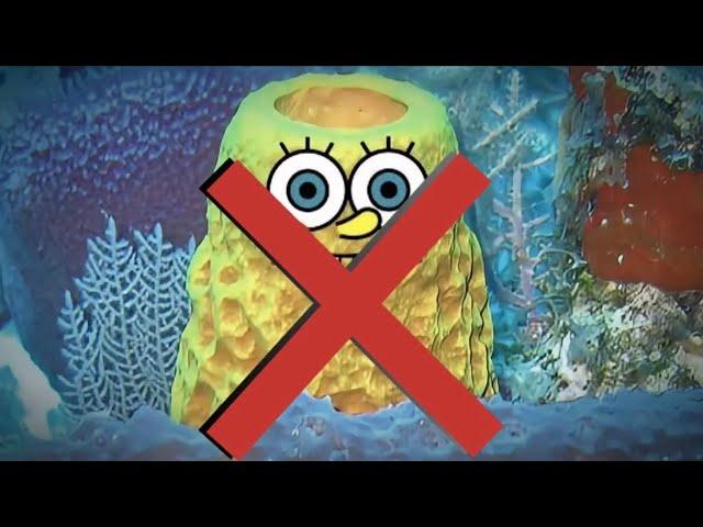 SpongeBob is NOT a Sponge!