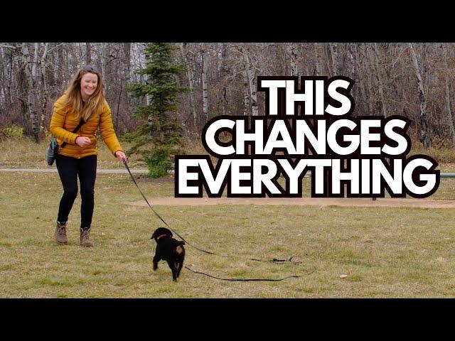 The ONE Dog Training Game I Play With *Almost* Every Client