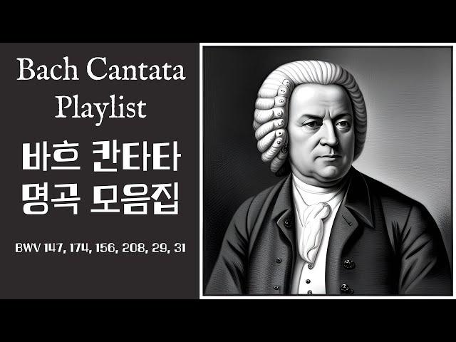 Bach - Cantata Playlist (바흐 칸타타 명곡 모음집)