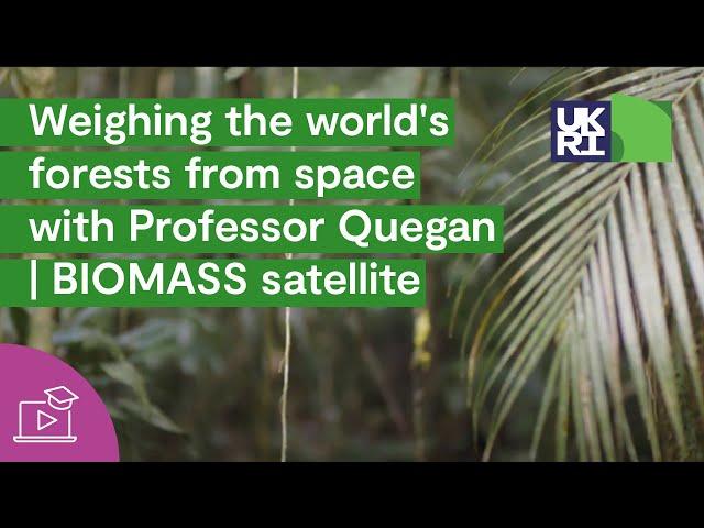 Weighing the world's forests from space with Professor Shaun Quegan | BIOMASS satellite