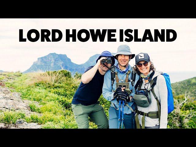 Gobsmacked by Lord Howe Island's 63,360 strong Providence Petrel Population - Bushwalking NSW