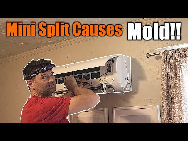 Mini Split AC Poisoning My Tenants | Shocking Amount Of MOLD | THE HANDYMAN |