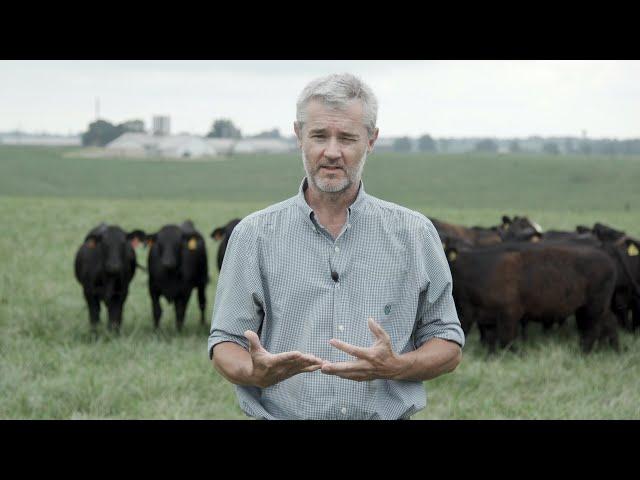 Virtual Beef Bash with Phillip Bridges