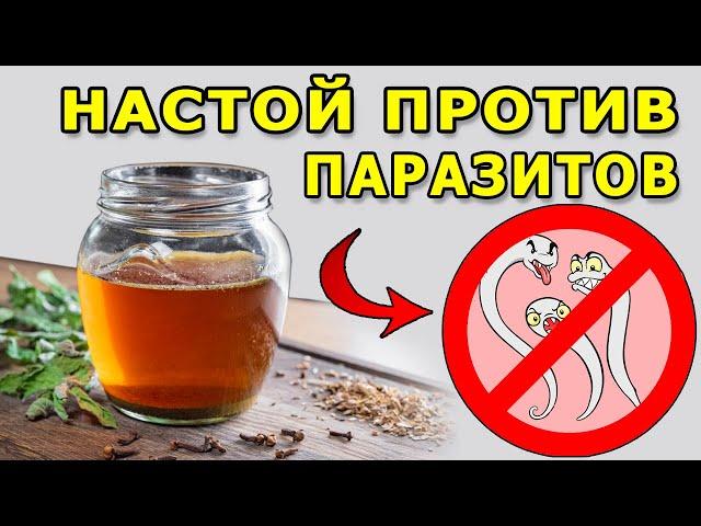 Мощное средство для очищения организма от паразитов – натуральная антипаразитарная чистка травами