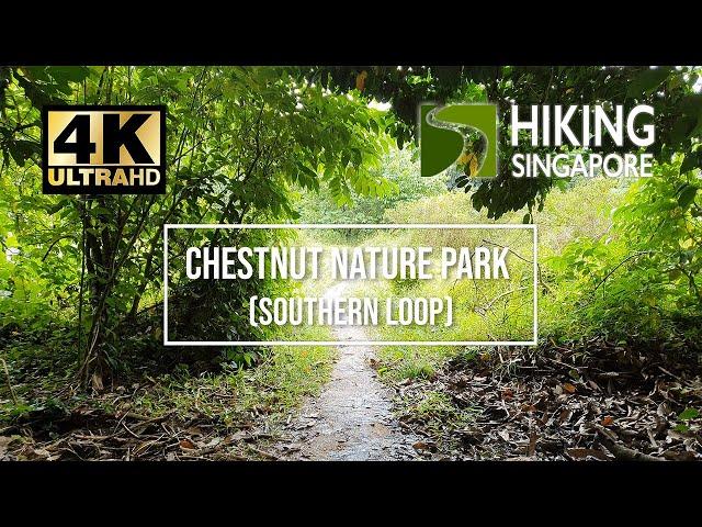 Chestnut Nature Park (Southern Loop) - Hiking Singapore [4K] [HDR]