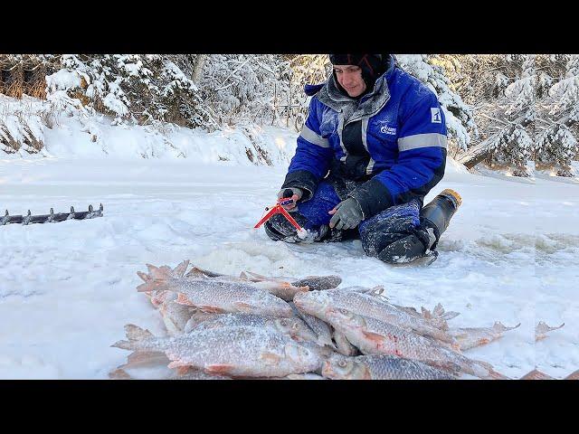 THAT'S WHAT BITING IS LIKE WHEN YOU'RE ON THE RIVER ALONE. FIRST ICE 2020-2021. WINTER FISHING 2020