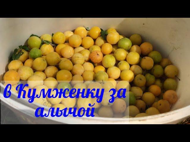 Летняя рыбалка и отдых на Дону  всегда непредсказуемые, поехали  за пеленгасом, а  привезли вот что.