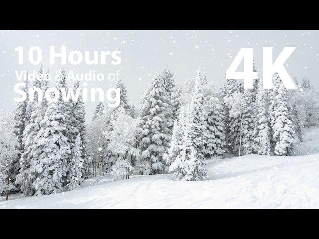 4K 10 hours - Snowing on trees - relaxing, gentle, calming