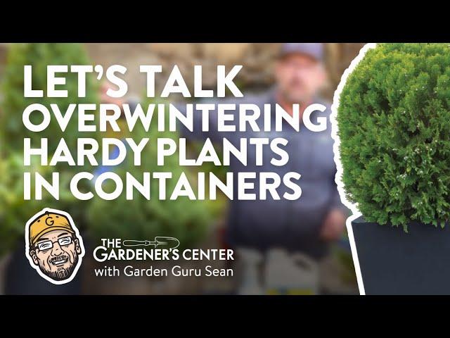 Let's Talk Overwintering Hardy Plants in Containers ️ Garden Guru Sean at The Gardener's Center