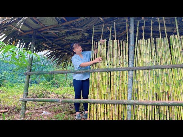 Choosing Trees to Build Houses from Fiber Trees - Ly Tieu Van