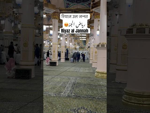 riyadh ul jannah | riaz ul jannah | riyadh ul jannah booking | riaz ul jannah appointment 2024 #hajj