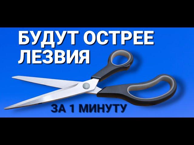 Как быстро заточить ножницы чтоб были острее лезвия в домашних условиях