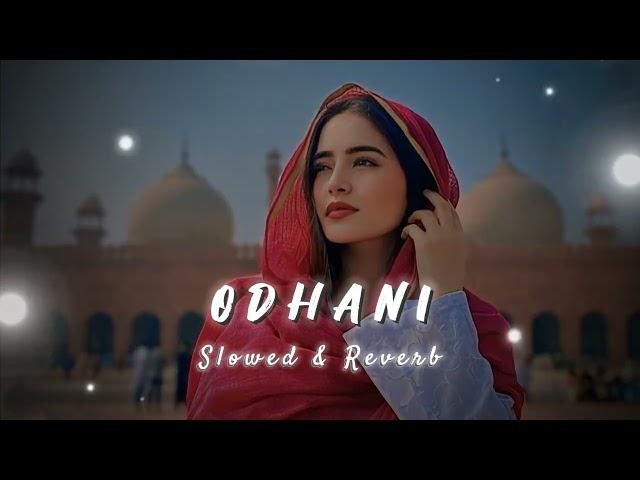 ODHANI OD KE NACHU | ODHANI | SLOWED REVERB | 2024 SONG|