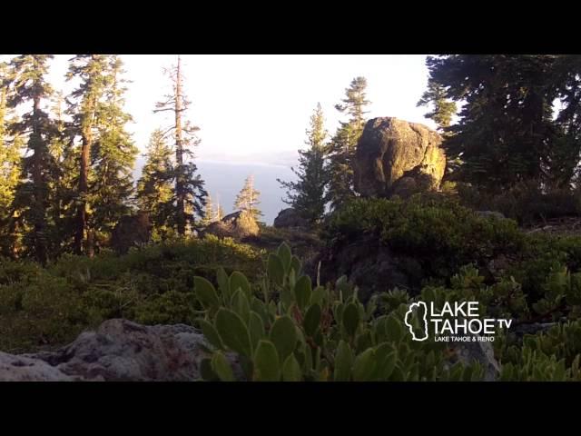 Lake Tahoe Television News