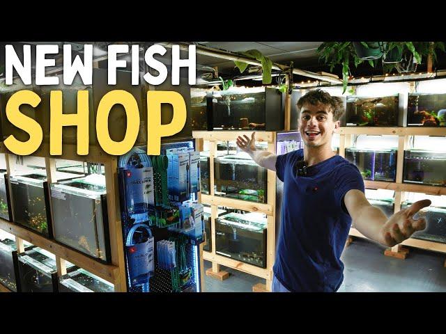 The KeepingFishSimple Fish Store Tour!