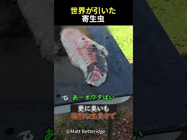 世界が引いた寄生虫