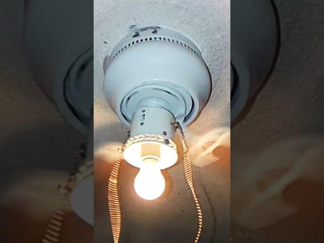 Crazy ceiling fan wobbling #memes #ceilingfan #shorts