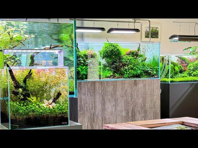 Walk around our Aquascaping specialist showroom and shop. New scapes and more…