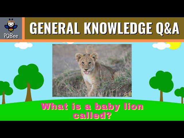 General Knowledge Quiz for Kids [Question and Answer]