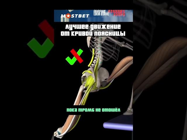 ЛУЧШЕЕ ДВИЖЕНИЕ ОТ ГИПЕРЛОРДОЗА