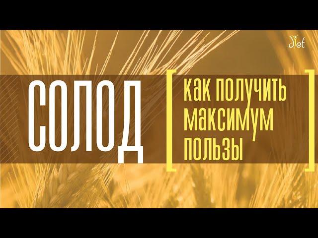 Солод: польза и особенности применения. Советы диетолога.