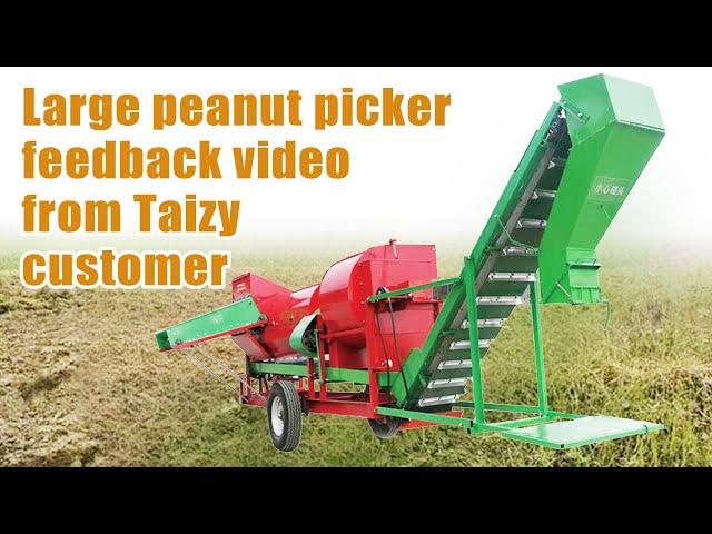 Awesome Performance! Large Peanut Picker Customer Feedback: Good Harvesting Groundnuts Effect