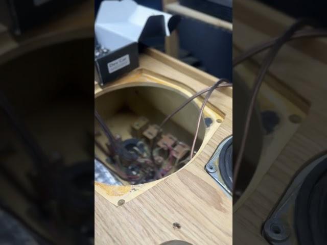 Проект Radiotehnika S90 подходит к завершению #bass93 #автозвук #s90 #radiotehnika s90 #radiotehnika